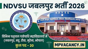 नानाजी देशमुख पशुचिकित्‍सा विज्ञान विश्‍वविद्यालय जबलपुर भर्ती 2026 | NDVSU Jabalpur Recruitment 2026 #mp_vetetinary_college_vacancy_2026 #mp_assistant_professorr_recruitment_2026 #mpjob #mp_job_2026 #mp_jobs_2026 #mp_govt_job #mp_govt_jobs #job_mp @mpvacancy @mpgovtjob @mpvacancy.in @mpvacancy.com @mpvacancy2026 @sarkari_result @sarkari_nokari #mp_vacacncy_2026 #mp_govt_vacancy_2026 #mp_vacancy #mp_govt_vacancy #mp_job #mp_govt_job #mpjobs #mp_govt_jobs #mpvacancy2026 #mpvacancy #upcaming_vacancy_in_mp_2026 #mp_vacacny_2026_in_hindi #mp_recruitment_#mp_recruitemnt_2026
